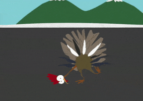 turkey neck GIF by South Park 