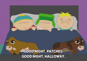South Park gif. Eric sleeps while Kyle peeks at Butters as they lie under the covers in a bed with two cows at the bottom. Butters gestures and says, "Good night, Patches. Good night, Holloway."