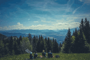 egracewriter  GIF