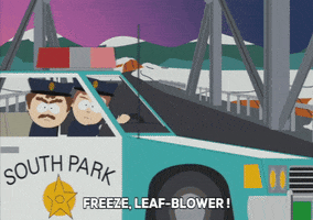 police bridge GIF by South Park 