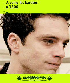 cannabineros marihuana GIF