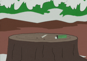 TREE STUMP GIF by South Park 