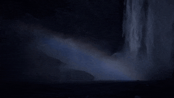 forces of nature GIF by PBS
