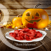 halloween pumpkin GIF by Rigamonti