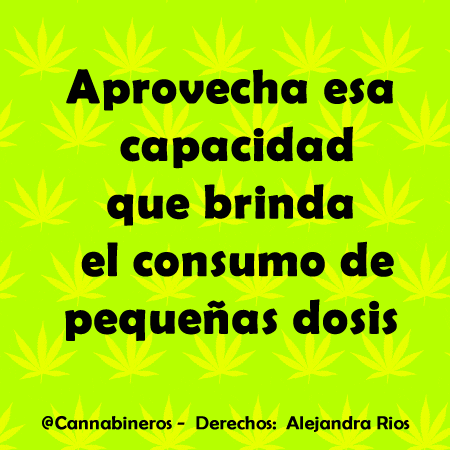 cannabineros marihuana GIF