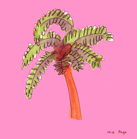 palm tree animation GIF by Mia Page