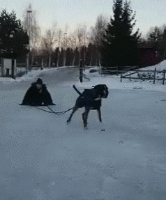 fleeur  GIF