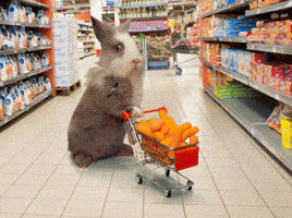 bunny rabbit GIF by Originals