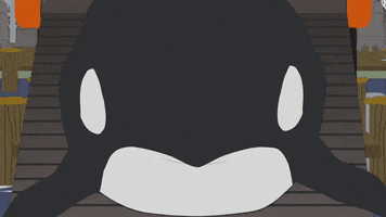 sad whale GIF by South Park 