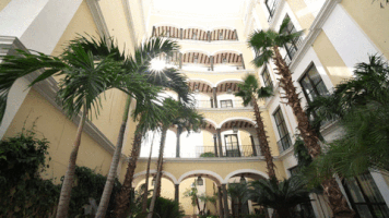 virynaye27 travel mexico tequila mundo cuervo GIF