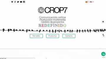 crop7 design video reality california GIF