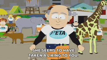peta ovulating GIF by South Park 