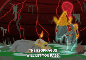 fire fish GIF by South Park 