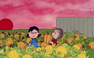 Charlie Brown Lucy GIF by Halloween