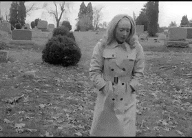 night of the living dead zombie GIF