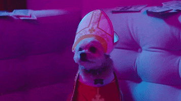 Dog Pope GIF by Captain Cuts