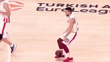 euroleague basketball GIF by EuroLeague