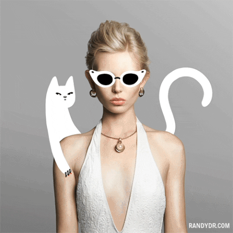 white cat fashion GIF by randydrosario