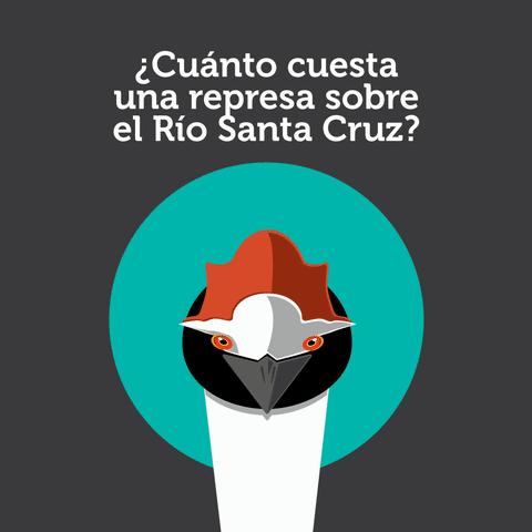 FARNARGENTINA rio patagonia ambiente biodiversidad GIF