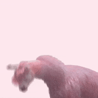 200.gif