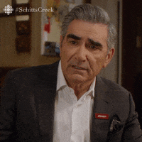 We Can Arrange That Schitts Creek GIF by CBC