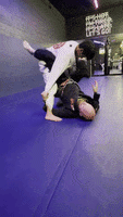 Ufc Rolling GIF by Neale Hoerle