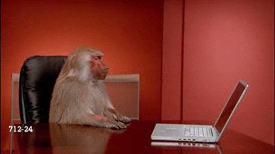 Office Monkey GIF - Find & Share on GIPHY