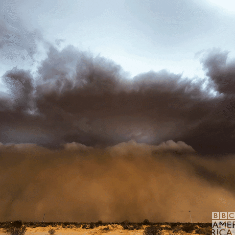 Dust Storm Gifs Get The Best Gif On Giphy