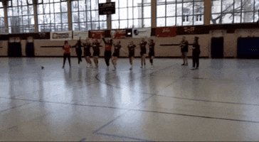 TSG 1861 Taucha - Abt. Handball GIF