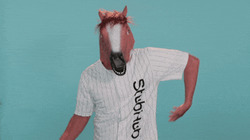 Wave Horse GIF by StubHub