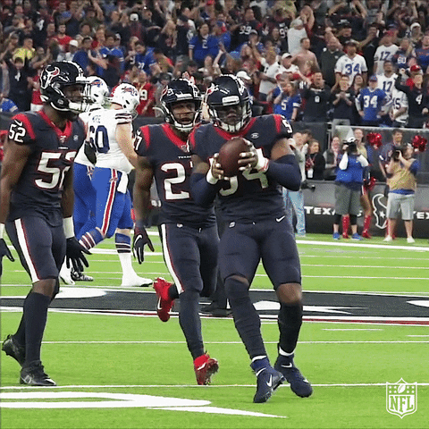 Houston Texans Win GIF by NFL