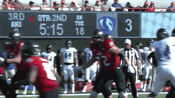 touchdown niu GIF by Northern Illinois University