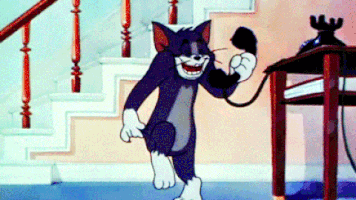laclac7091  GIF