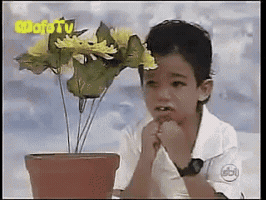 rodrigodahora plantinha GIF
