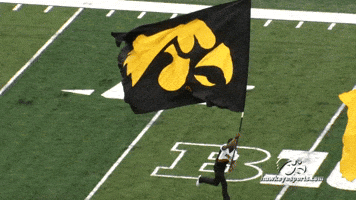 University Of Iowa Football GIF by University of Iowa Hawkeyes Athletics