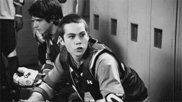 rynobotha  GIF