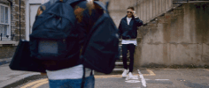 GIF by Zedd