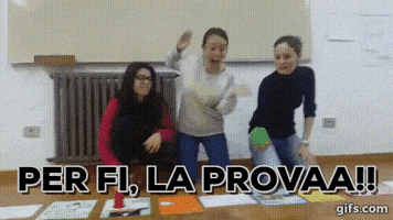 txaumell  GIF
