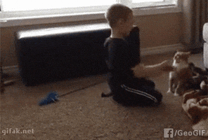 doldwaas  GIF