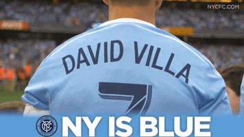 david villa mls GIF by NYCFC