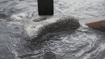 Bv6300Pro GIF