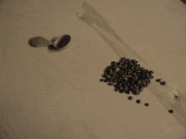 Coffee GIF