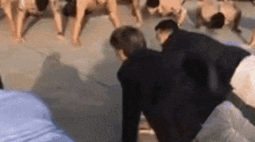 Flex GIF