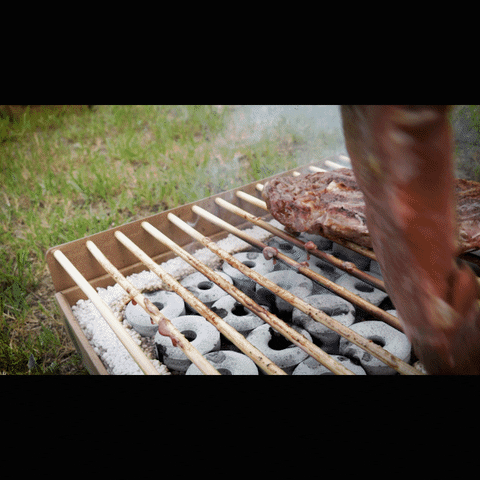Tarp GIF
