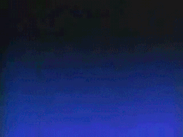 raymondschmidt funny haha ass asshole GIF