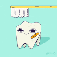 Squatch Using Toothpaste Squatch Brushing Teeth GIF - Squatch