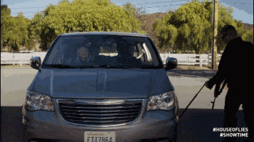 house of lies GIF by Showtime
