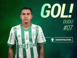 dudu GIF by SE Palmeiras
