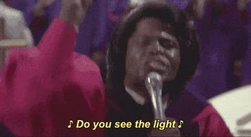 church preacher the blues brothers james brown reverend cleophus james GIF