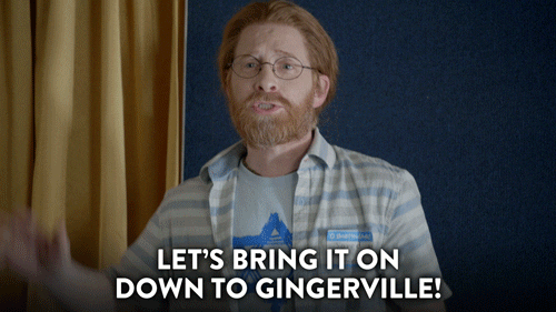 Image result for ginger is in gifs
